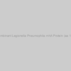 Image of Recombinant Legionella Pneumophila rnhA Protein (aa 1-143)